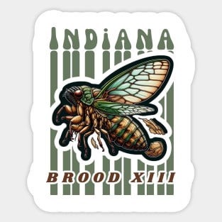 Cicadas "Indiana" Sticker